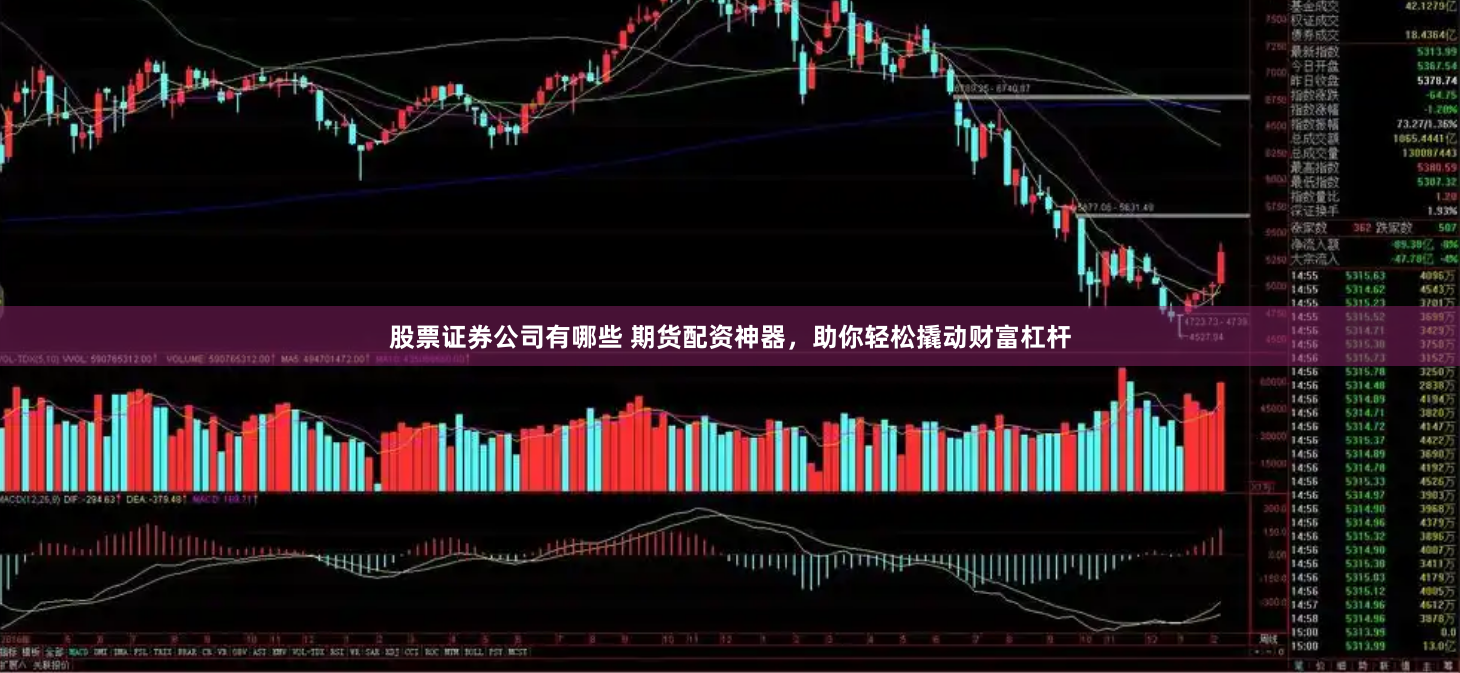 股票证券公司有哪些 期货配资神器，助你轻松撬动财富杠杆