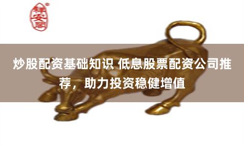 炒股配资基础知识 低息股票配资公司推荐，助力投资稳健增值