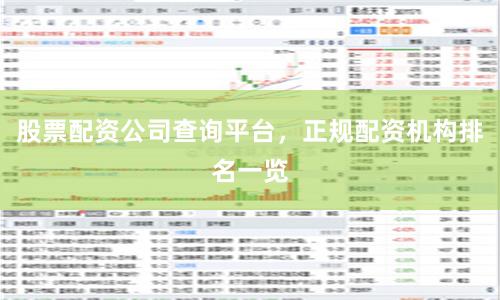 股票配资公司查询平台，正规配资机构排名一览